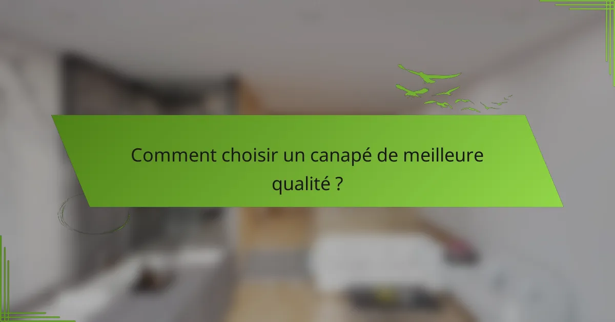 Comment choisir un canapé de meilleure qualité ?