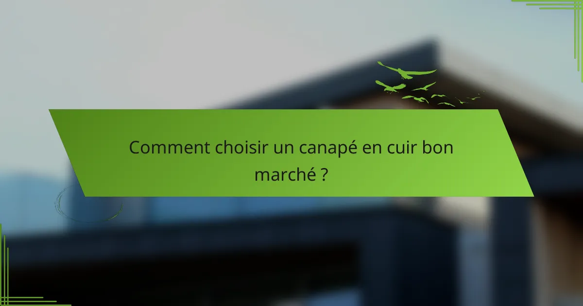 Comment choisir un canapé en cuir bon marché ?