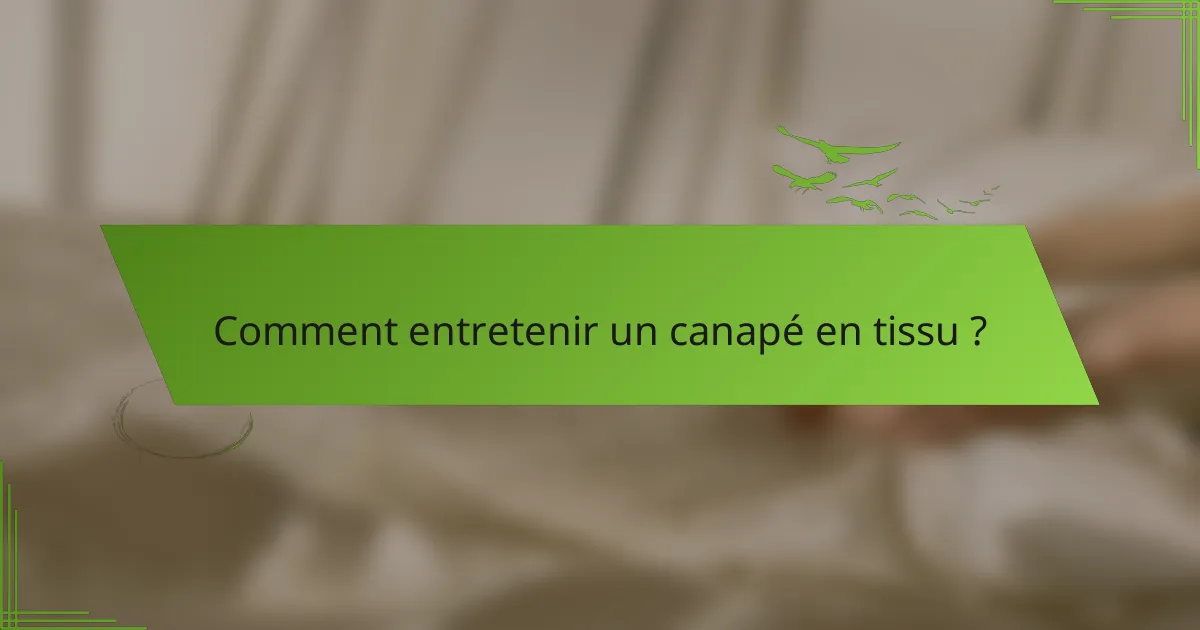 Comment entretenir un canapé en tissu ?