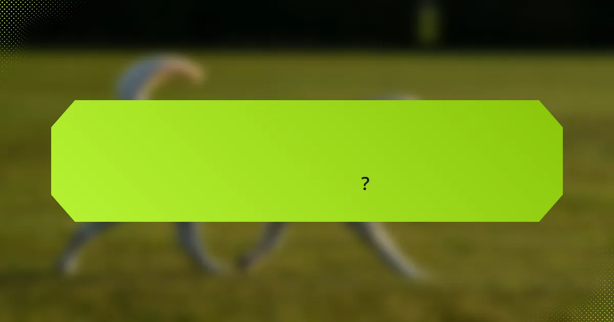 খেলোয়াড়ের অবস্থান দলের কৌশলে কীভাবে প্রভাব ফেলে?