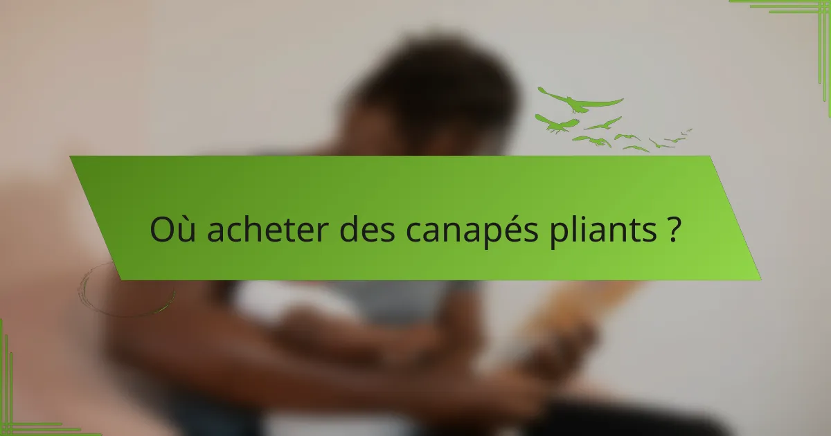 Où acheter des canapés pliants ?
