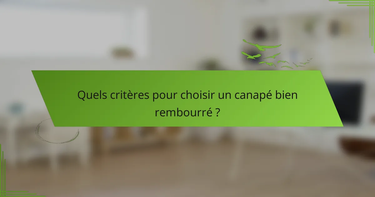 Quels critères pour choisir un canapé bien rembourré ?