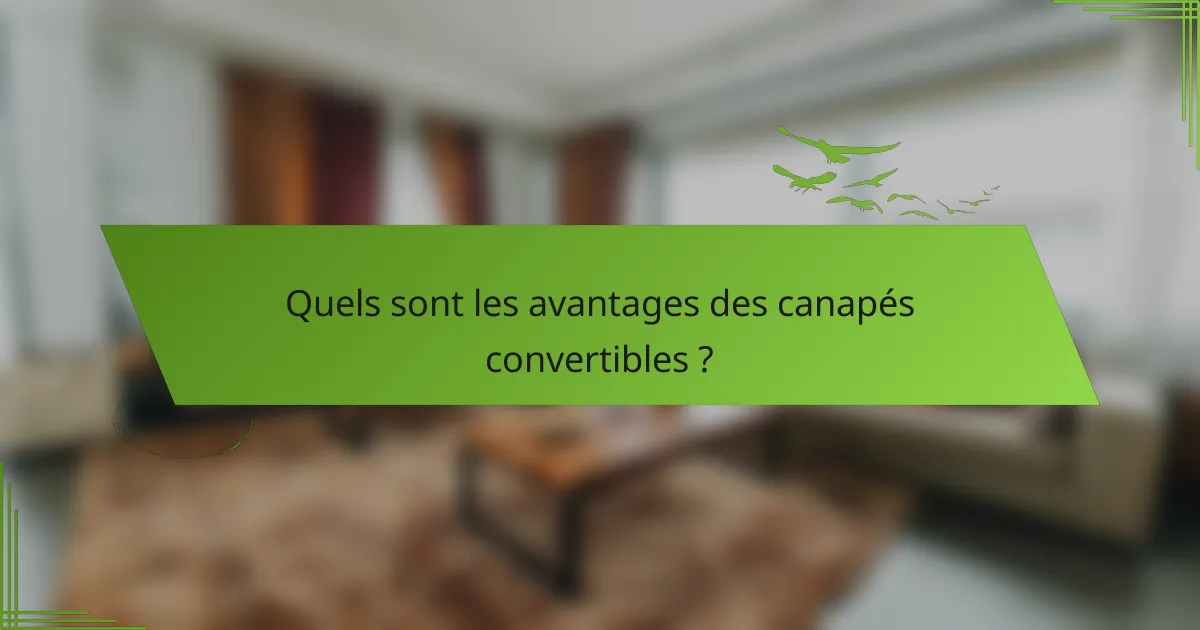 Quels sont les avantages des canapés convertibles ?