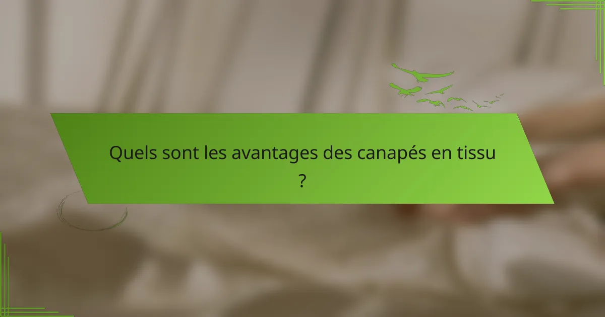 Quels sont les avantages des canapés en tissu ?