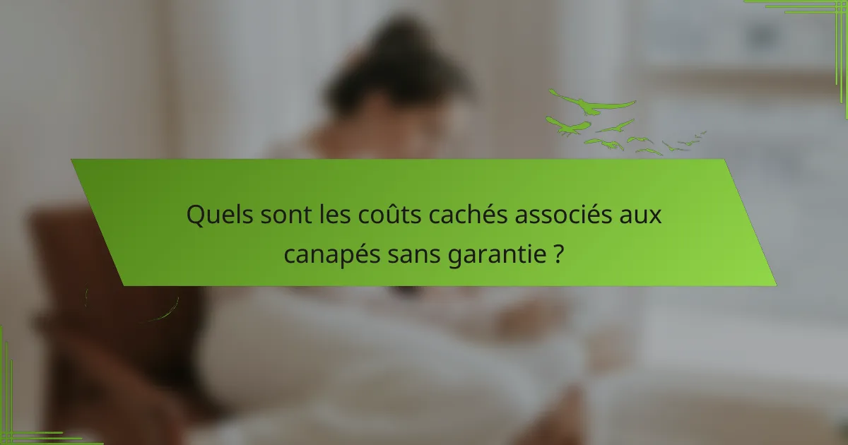Quels sont les coûts cachés associés aux canapés sans garantie ?