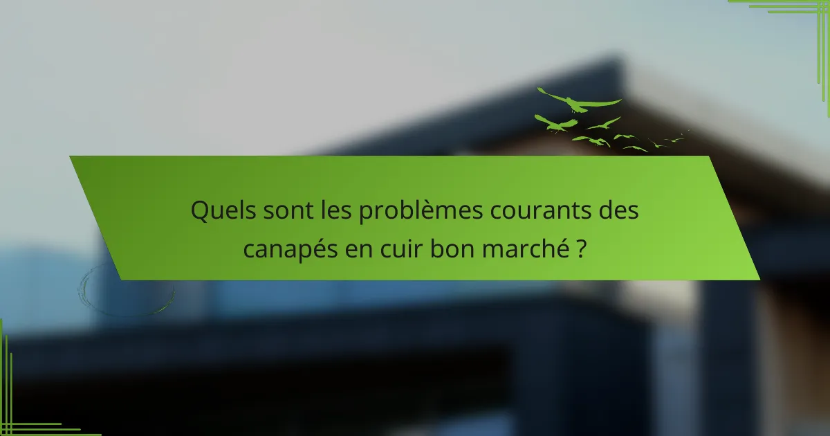 Quels sont les problèmes courants des canapés en cuir bon marché ?