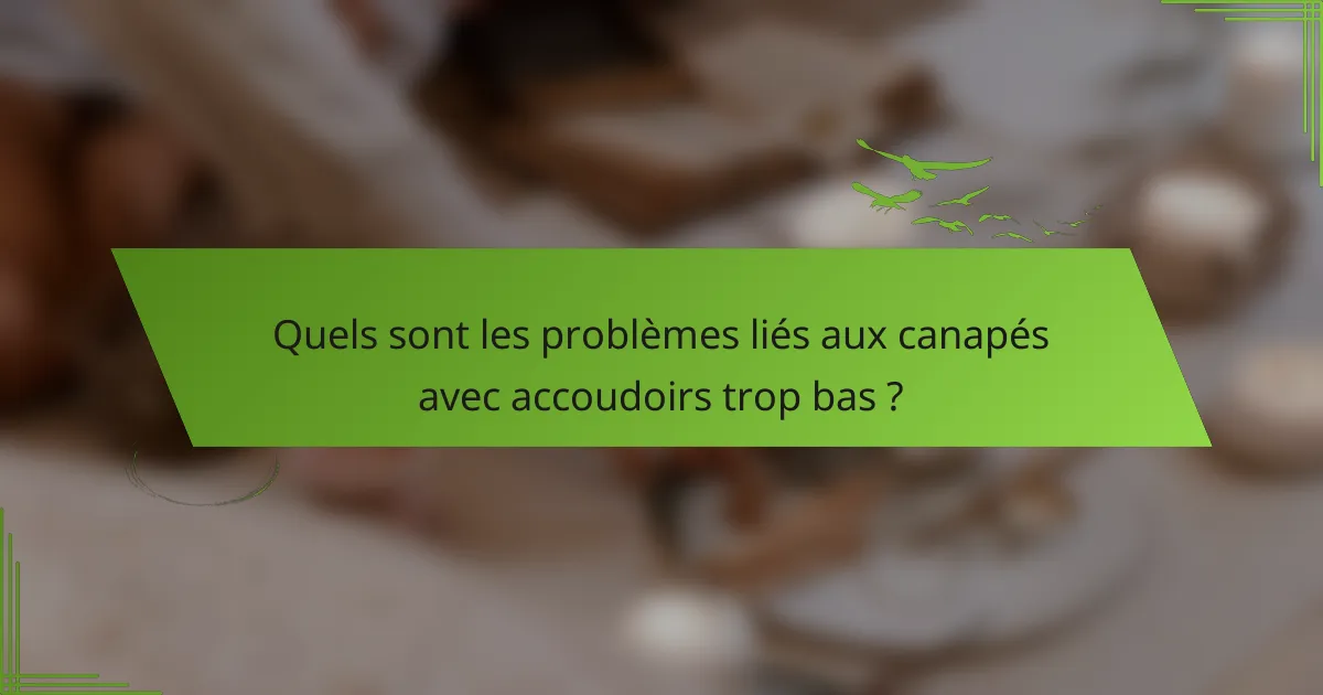 Quels sont les problèmes liés aux canapés avec accoudoirs trop bas ?