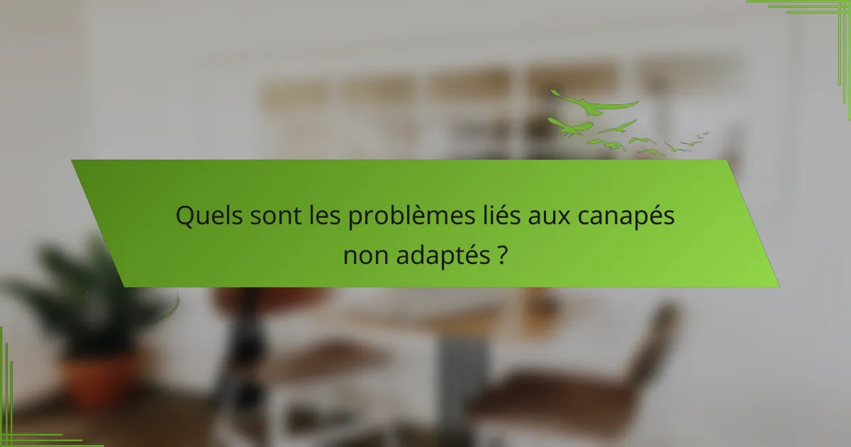 Quels sont les problèmes liés aux canapés non adaptés ?