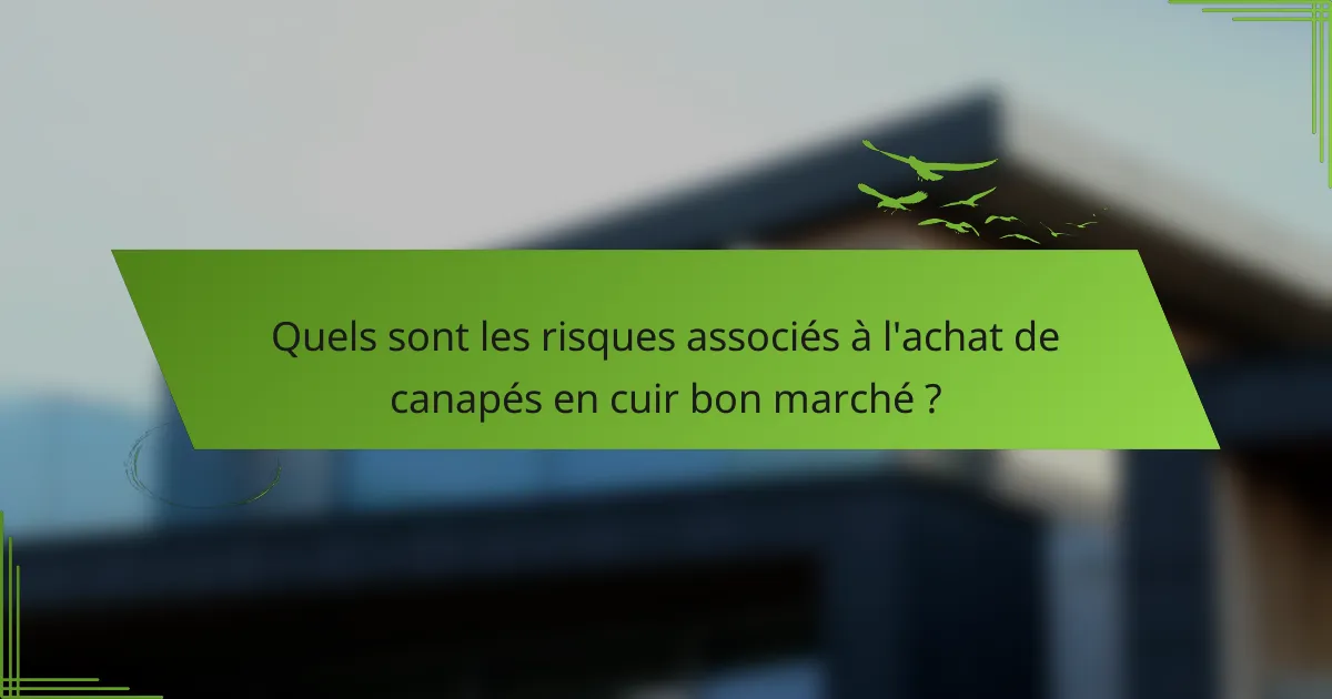 Quels sont les risques associés à l'achat de canapés en cuir bon marché ?