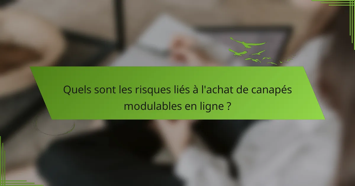 Quels sont les risques liés à l'achat de canapés modulables en ligne ?