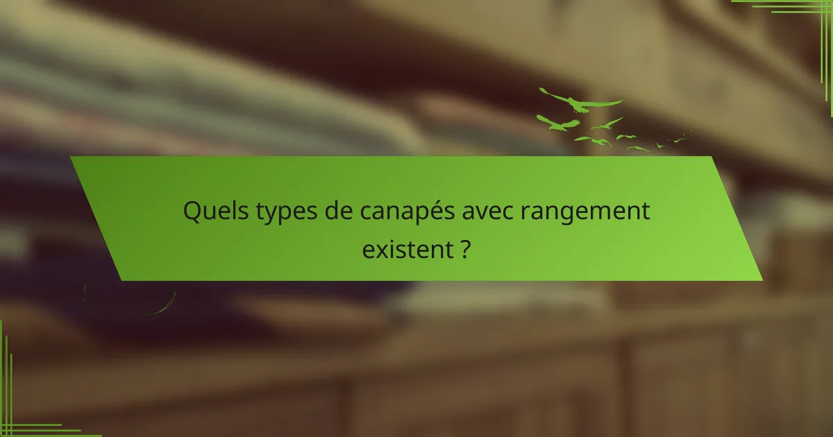 Quels types de canapés avec rangement existent ?